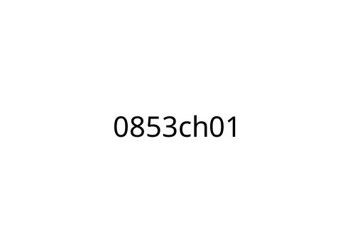 0853ch01