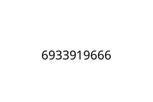 6933919666