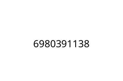 6980391138