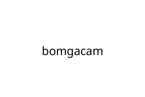 bomgacam