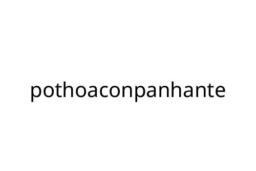 pothoaconpanhante