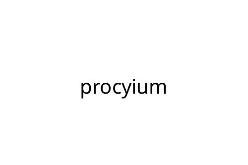 procyium