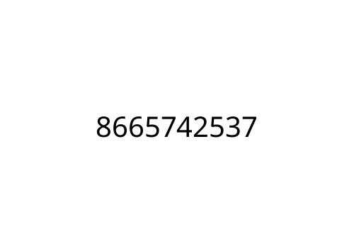 8665742537