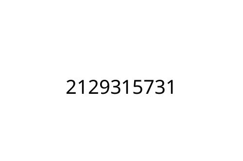 2129315731