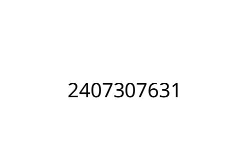 2407307631