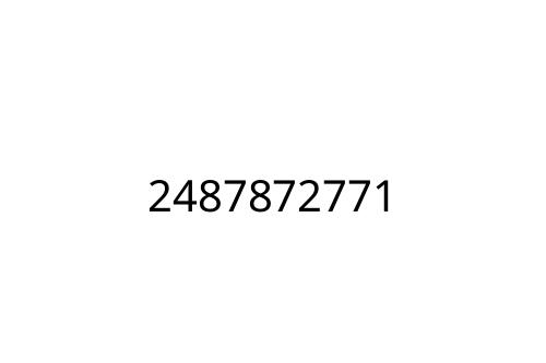 2487872771