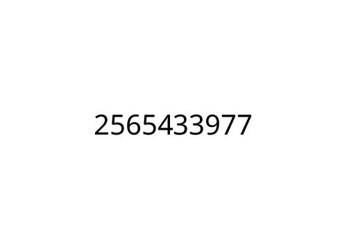 2565433977