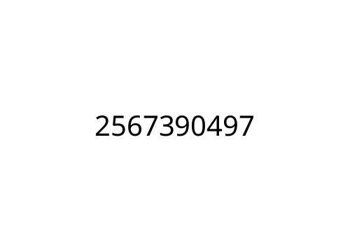 2567390497
