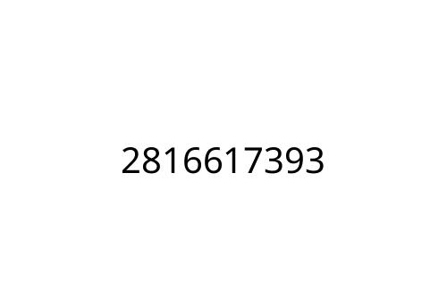 2816617393