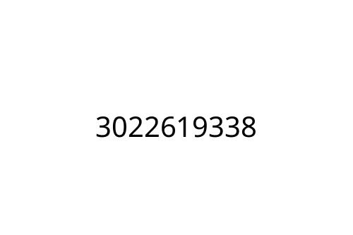 3022619338