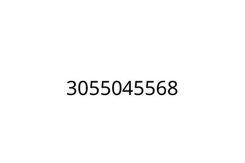 3055045568