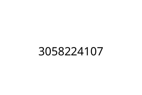 3058224107