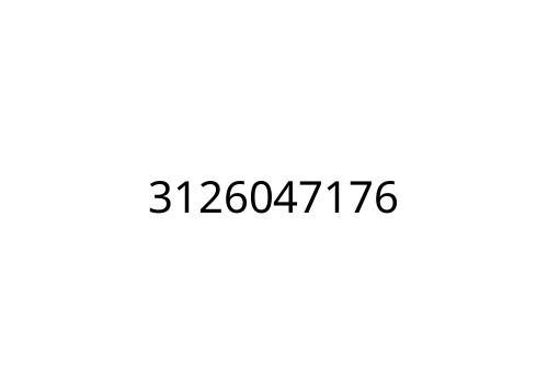 3126047176
