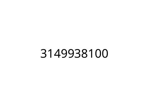 3149938100