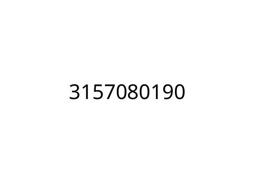 3157080190