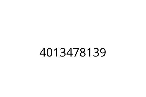 4013478139