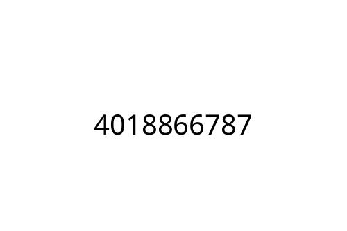 4018866787