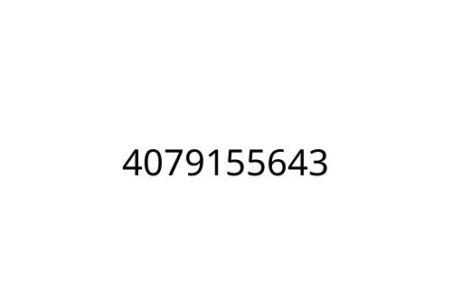 4079155643