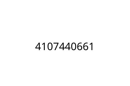 4107440661