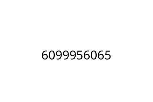6099956065