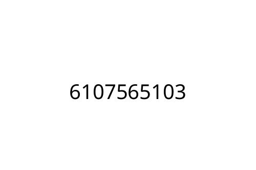 6107565103