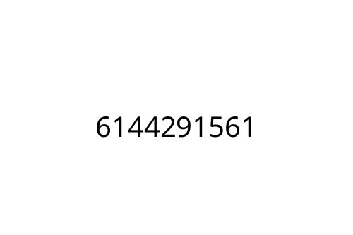 6144291561