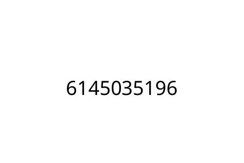 6145035196