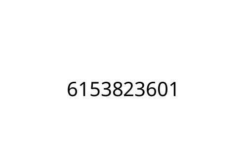 6153823601