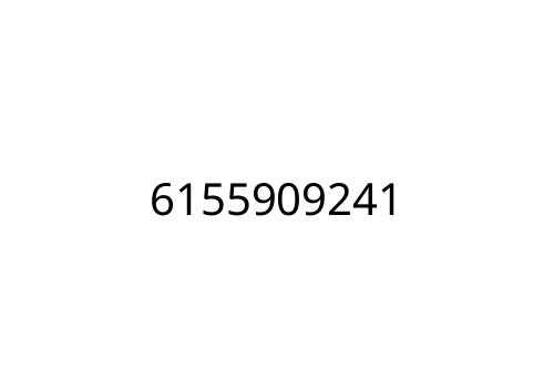 6155909241