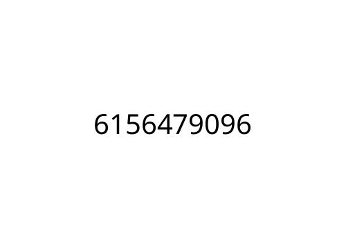 6156479096