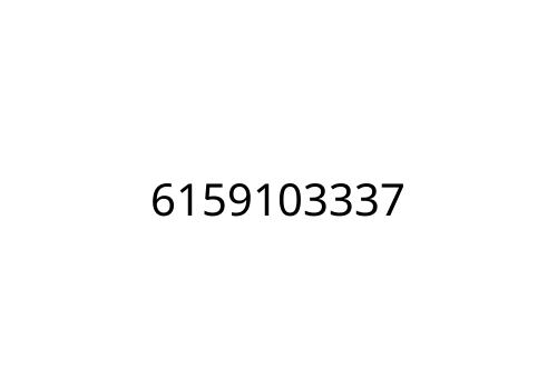6159103337