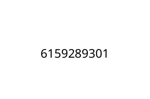 6159289301