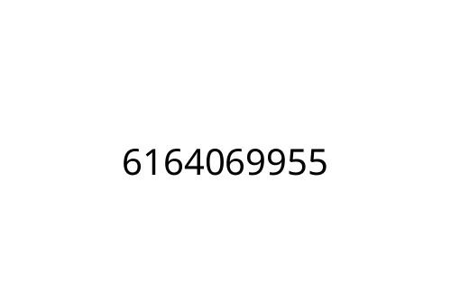 6164069955