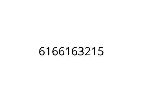 6166163215