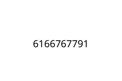 6166767791