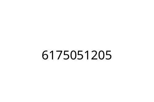 6175051205