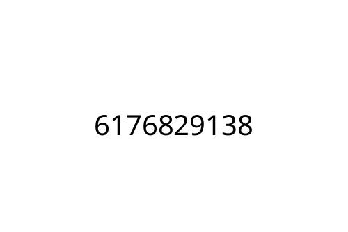6176829138