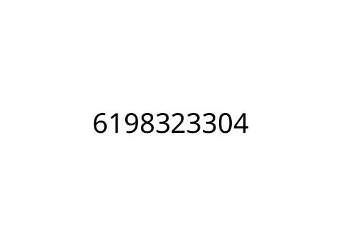 6198323304