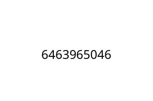 6463965046