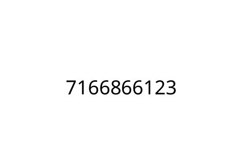 7166866123
