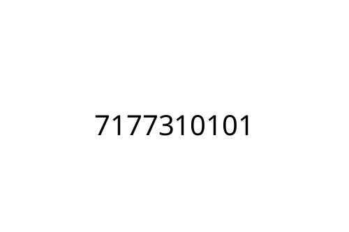 7177310101