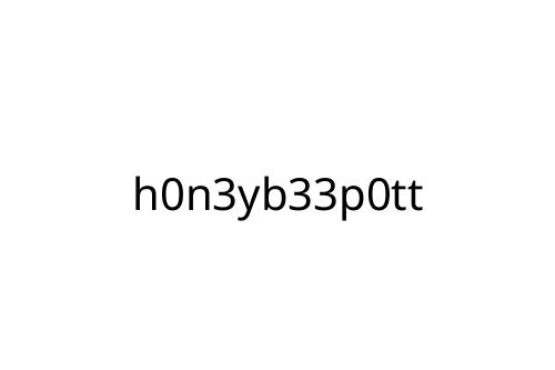 h0n3yb33p0tt