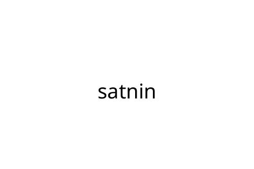 satnin
