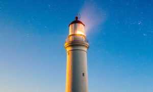 can the game honzava5 be played offline