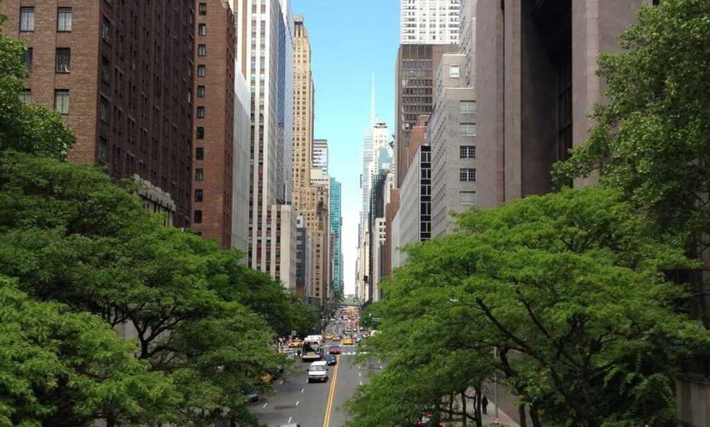 can vloweves be played as a team