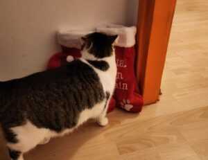 returnalgirl version4.4