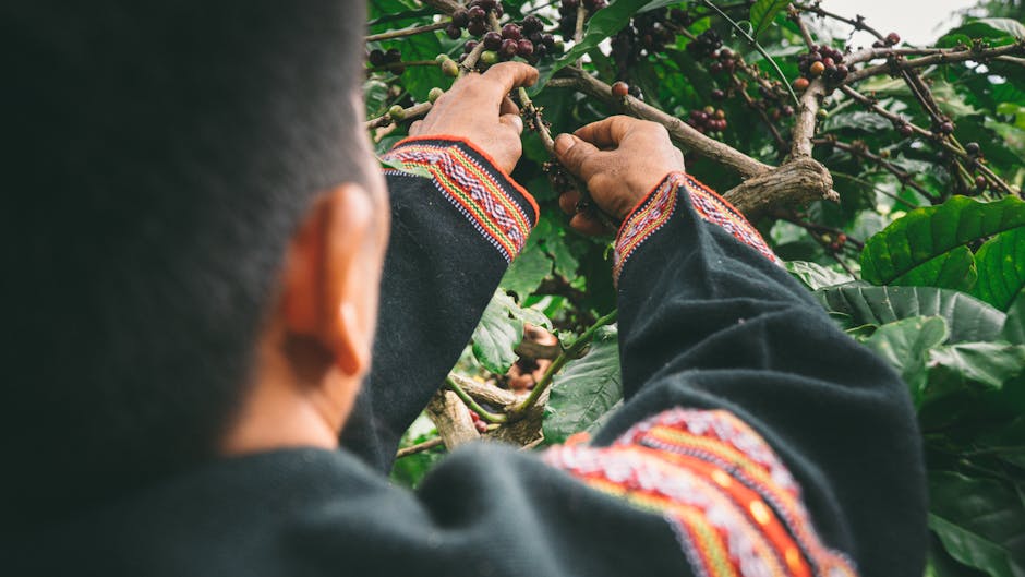 socioeconomic impact