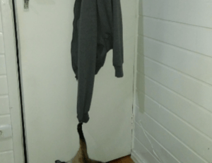 what should i serve with renkooki