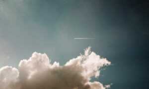 why biohunt2000 game are popular