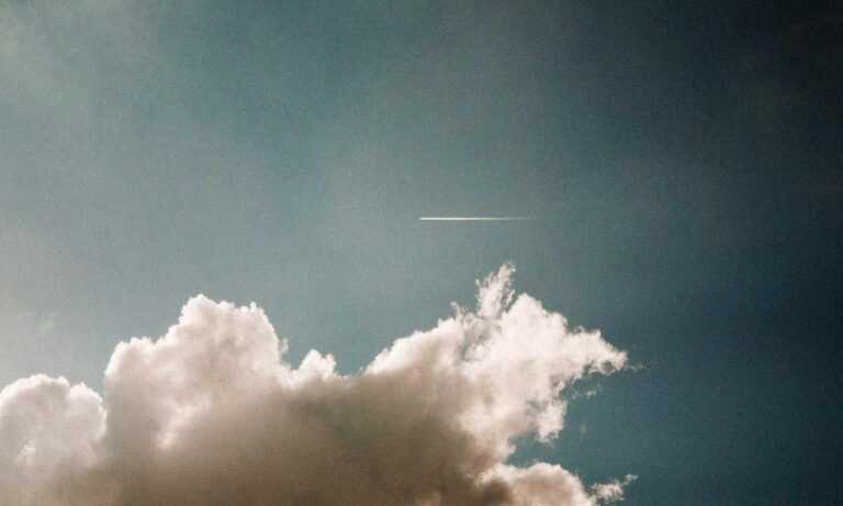 why biohunt2000 game are popular